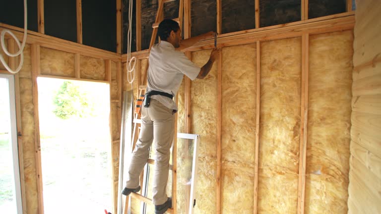 Eco-Friendly or Green Insulation Solutions